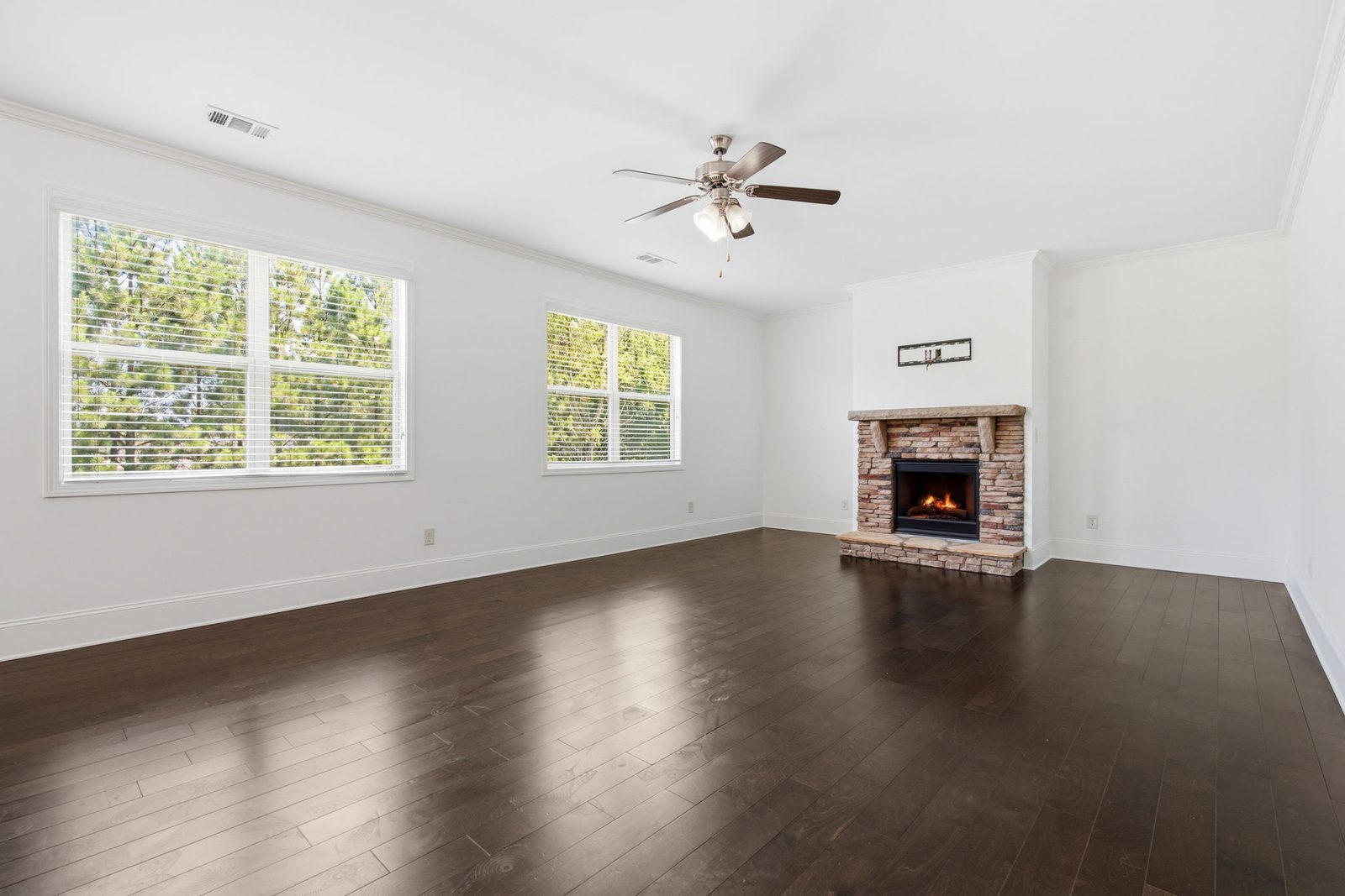 4235 Isabelline Bluff — photo 5